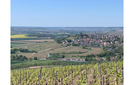 séjour en Champagne Avril 2025
